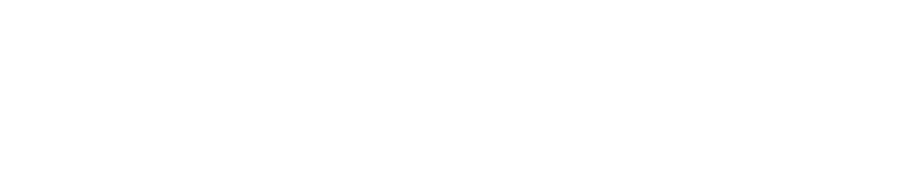 Troy Lee Designs